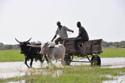 Emotion Planet Benin