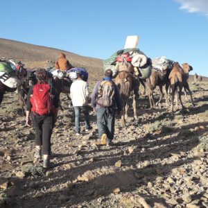 maroc transhumance immersion nomade