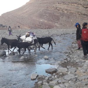 maroc transhumance immersion nomade