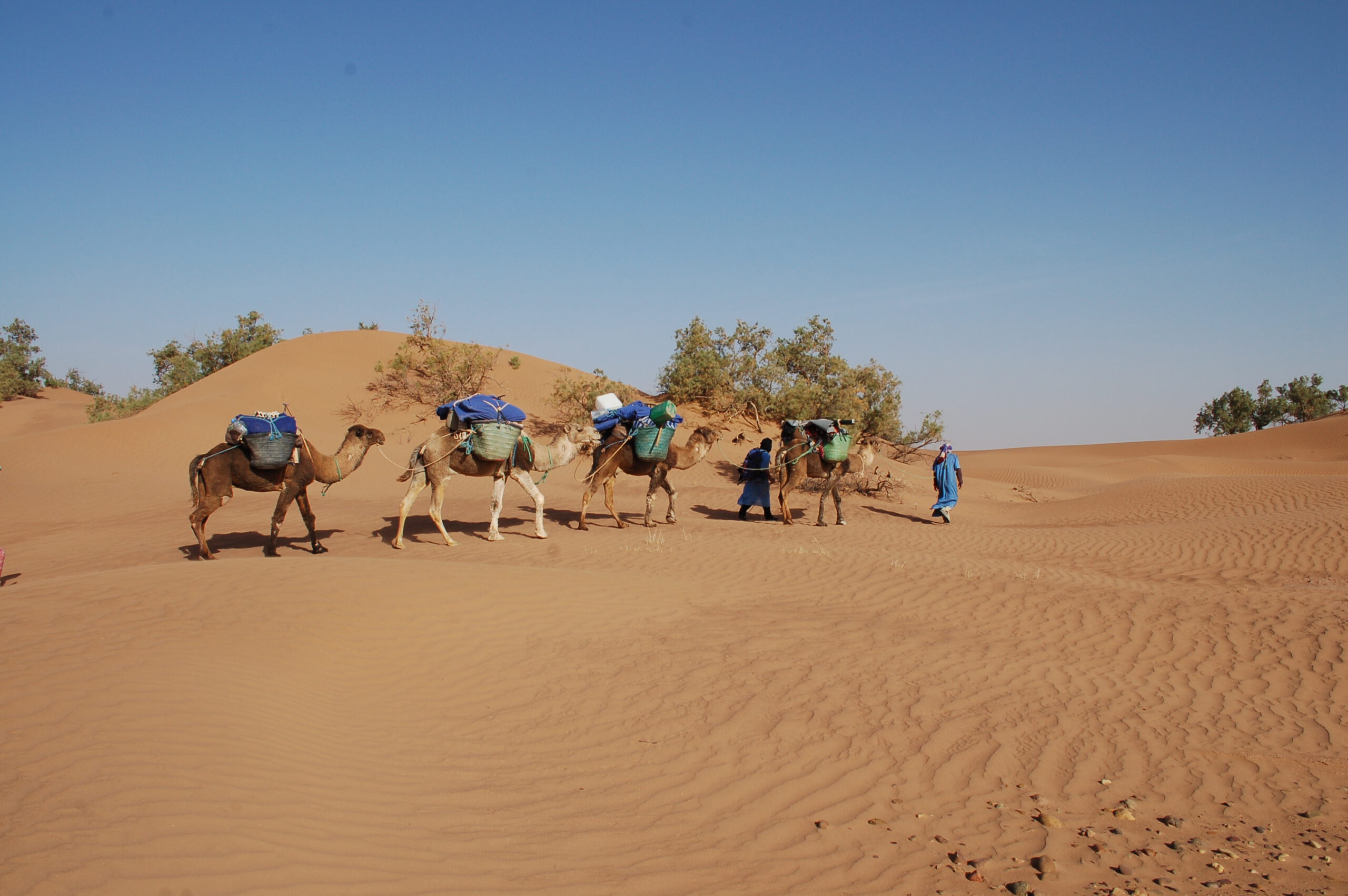 Maroc désert immersion