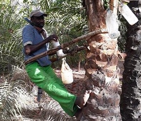 Sénégal Casamance voyage immersion découverte