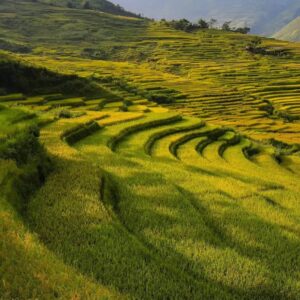 EmotionPlanet-Voyages-Immersion-Asie-Vietnam-paysage
