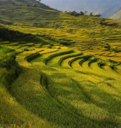 EmotionPlanet-Voyages-Immersion-Asie-Vietnam-paysage-rizières