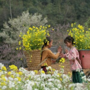 Emotion-Planet-voyages-Asie-Vietnam-nord
