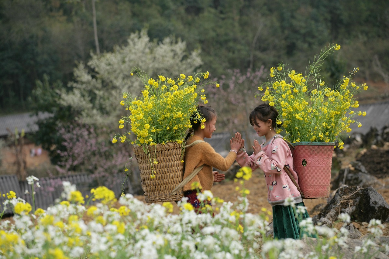 Emotion-Planet-voyages-Asie-Vietnam-nord