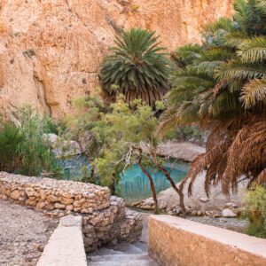 Tunisie velo voyage immersion