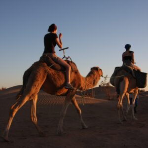 EmotionPlanet-Voyages-Immersion-Maroc-randonnée-désert-dromadaires