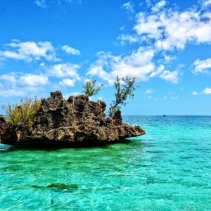 Emotion Planet île Maurice mer
