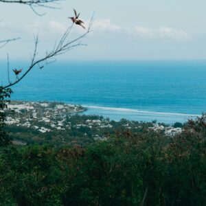 EmotionPlanet-Ecotourisme-Europe-Réunion