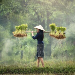 Emotion-Planet-voyages-Asie-Laos-femme-agriculture