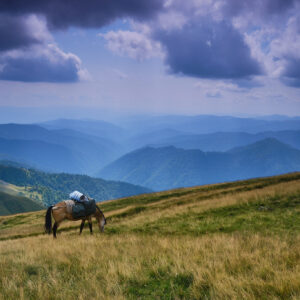 EmotionPlanet-voyages-Europe-Georgie-ValléePankissi-nature