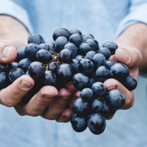 EmotionPlanet-voyages-Europe-Georgie-raisins-vins