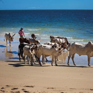 Emotion Planet Voyages Madagascar immersion decouverte plage