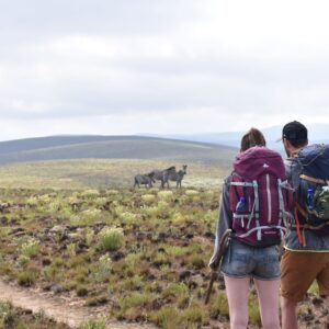 @emotion planet-voyage-insolite-durable-malawi-trek-nyaka-zebre-randonneurs