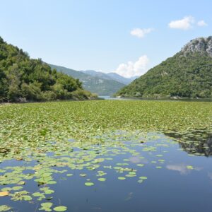 EmotionPlanet-voyages-Europe-Monténégro-lac-Skadar
