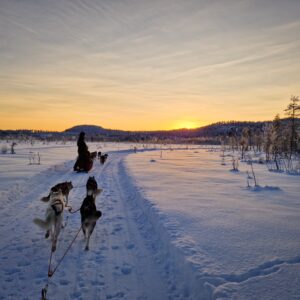 Emotion Planet Suède Laponie voyage chiens de traineaux