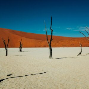 Emotion Planet Namibie voyage - désert