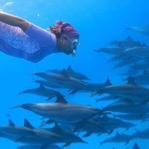 Emotion-planet-egypte-bateau-danse-dauphins-soins-vibratoire-sophie
