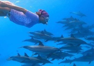 Emotion-planet-egypte-bateau-danse-dauphins-soins-vibratoire-sophie