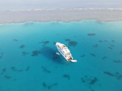 Emotion-planet-voyage-egypte-cristal-soin-nage-dauphins-mer-bateau