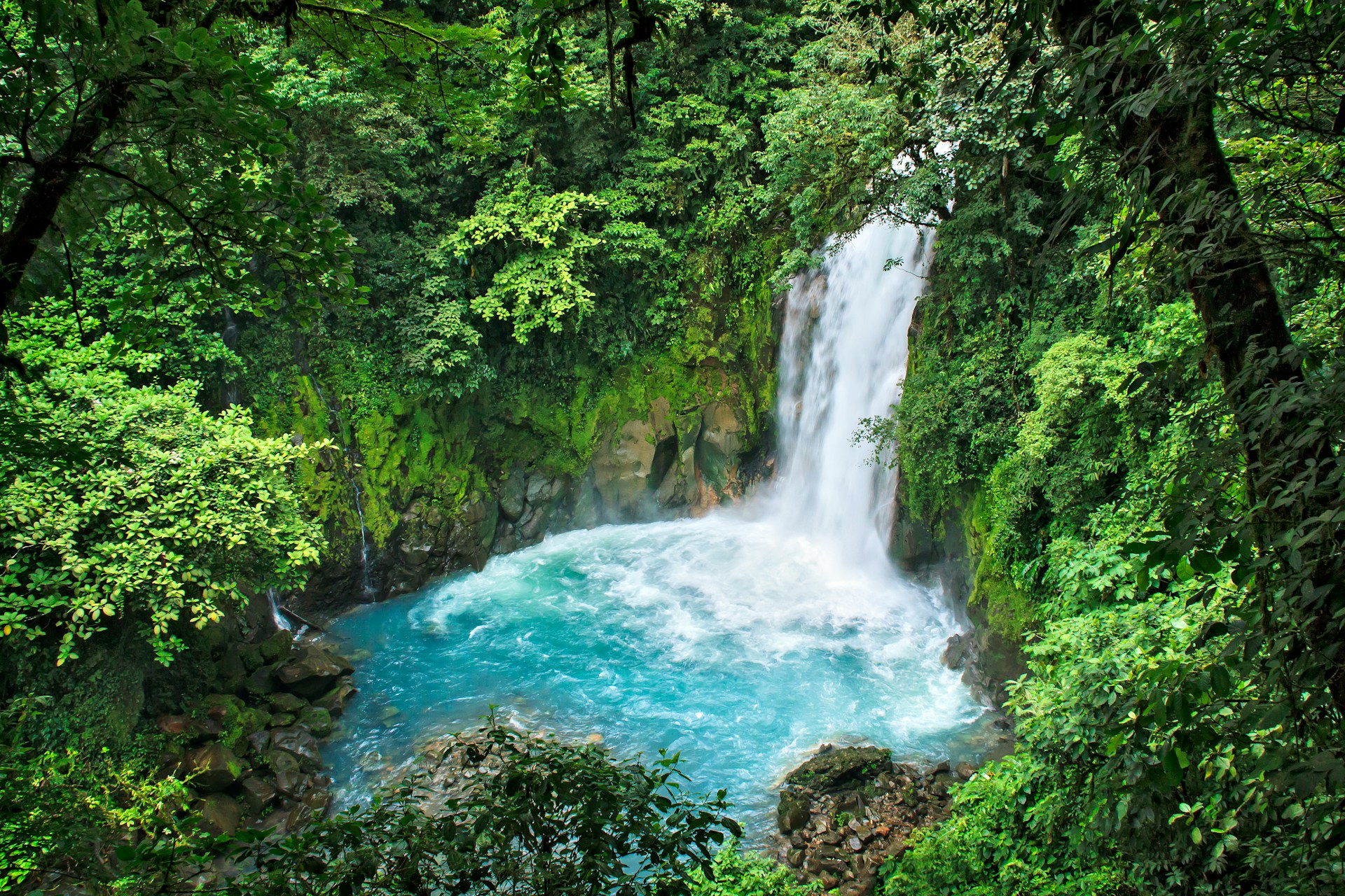 Costa Rica - Evasion tropicale dans une nature luxuriante