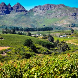 Emotion Planet Afrique du Sud voyage vignoble