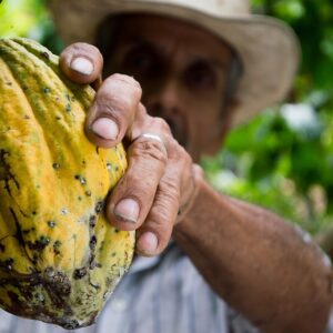 Emotion-Planet-Voyage-ethique-durable-colombie-cacao