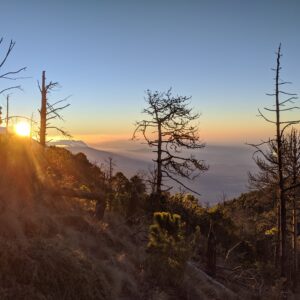 Guatemala : Entre volcan explosif et temples perdus dans la jungle.