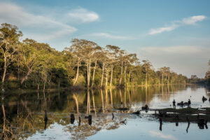 Emotion-Planet-Guinee-Bissau-mangroves