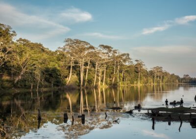 Emotion-Planet-Guinee-Bissau-mangroves