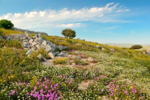 Emotion Planet, voyage ethique, voyage durable, sicile, villa dolce valle