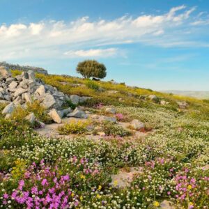 Villa-Dolce-Valle-paysage-1-1