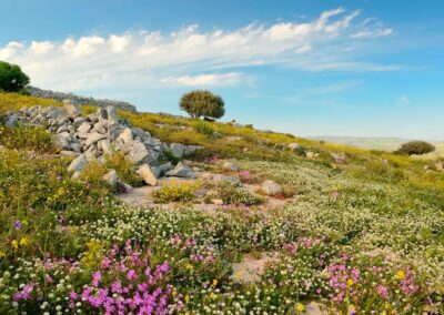 Villa-Dolce-Valle-paysage-1-1