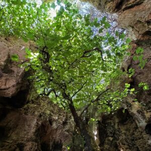 Emotion-Planet-Rando-Nature-Sicile-Roche.jpg