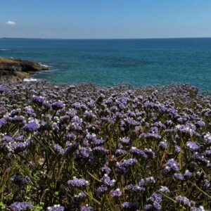 Emotion-Planet-Sicile-Randonnee-Cote-Mer.jpg