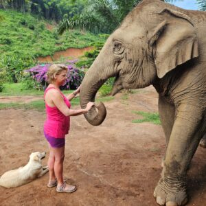 Emotion Planet voyage thailande refuge éléphants 1