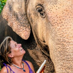 Emotion Planet voyage thailande refuge éléphants complicité