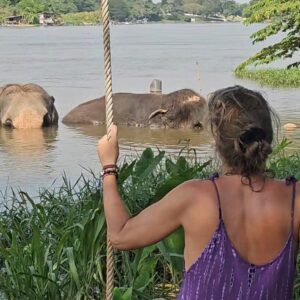 Emotion Planet voyage thailande refuge éléphants soins rivière