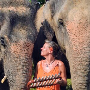 Emotion Planet voyage thailande refuge éléphants sons guérison