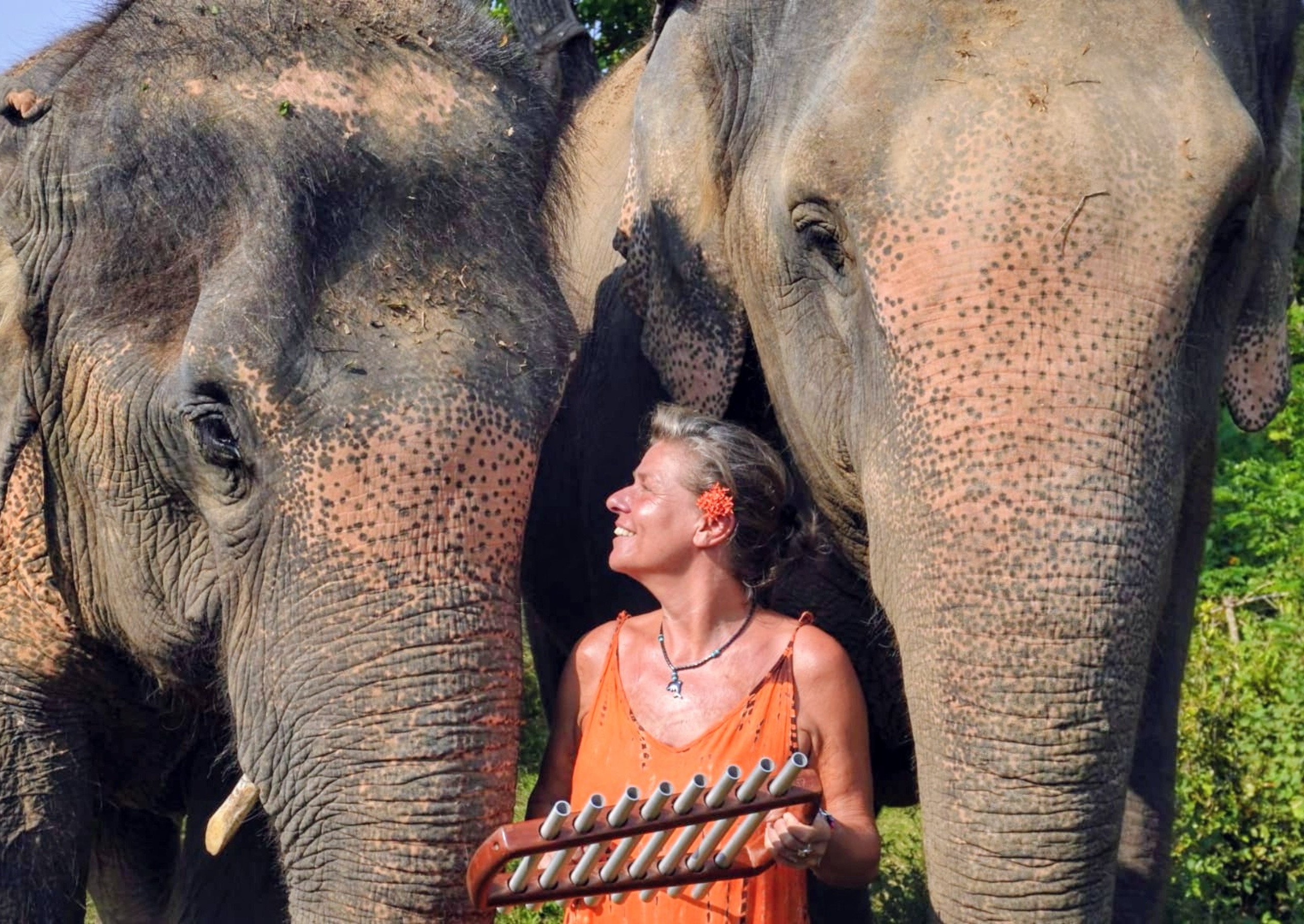 Emotion Planet voyage thailande refuge éléphants sons guérison