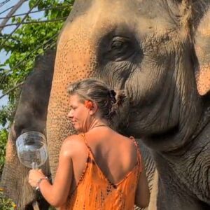 Emotion Planet voyage thailande refuge éléphants sons sacrés