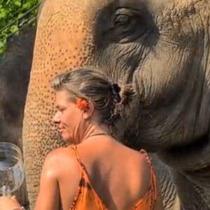Emotion Planet voyage thailande refuge éléphants sons sacrés