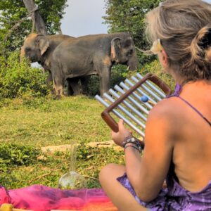 Emotion Planet voyage thailande refuge éléphants sons sacrés instrument