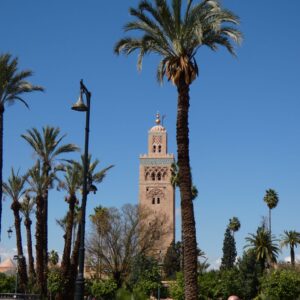 Emotion Planet Maroc Atlas Désert voyage scolaire solidaire humanitaire Marrakech