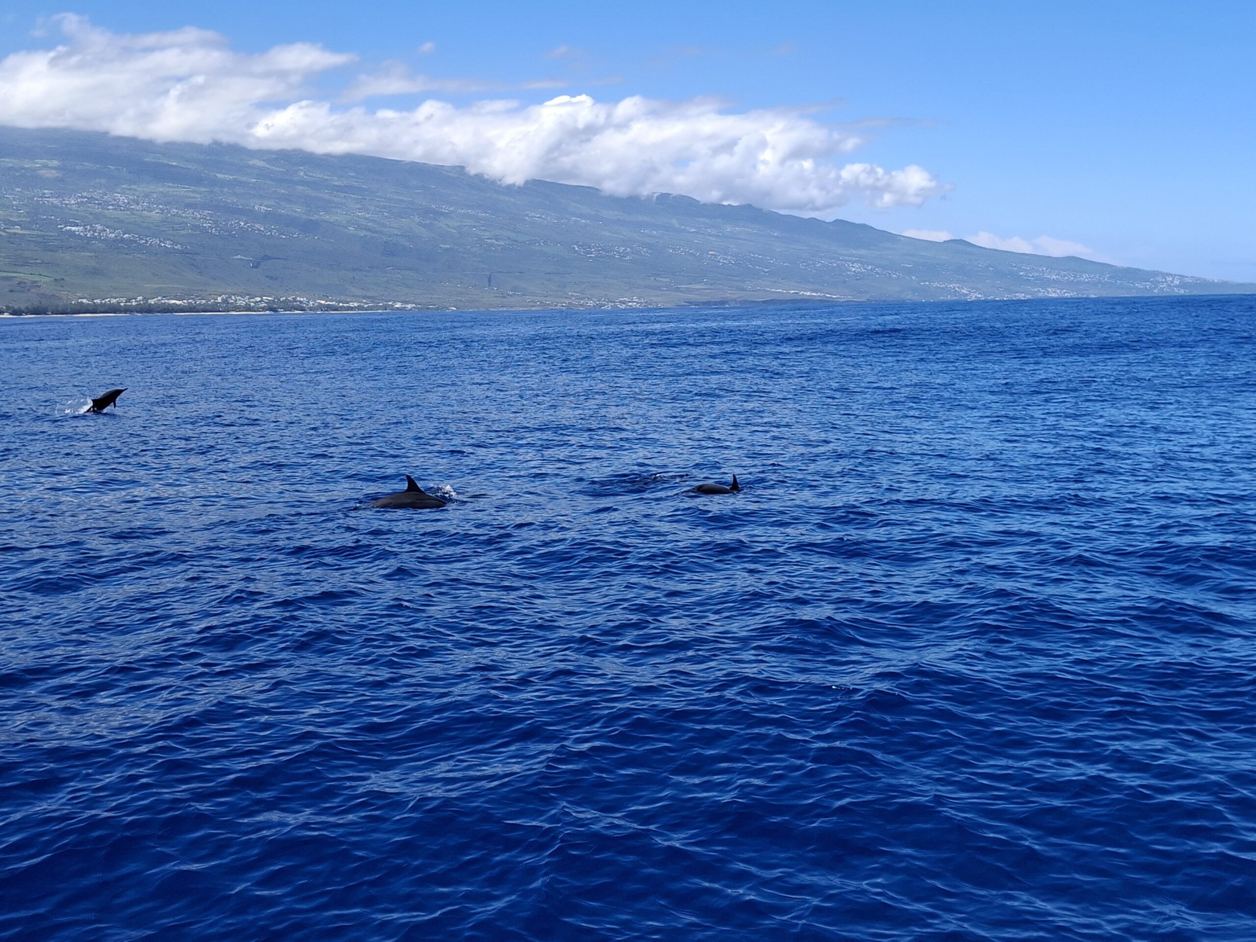 Emotion Planet voyage ile réunion durable ecotourisme nature volcan plages