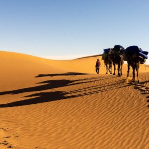 Emotion Planet Maroc Atlas Désert voyage scolaire solidaire humanitaire trek sahara.jpeg