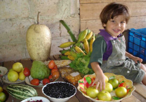 Emotion-Planet-voyage -Costa-Rica-marché