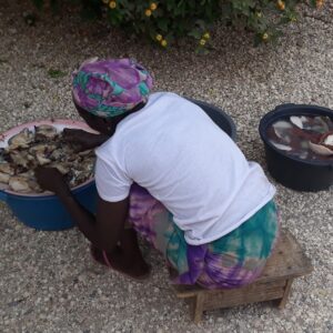 Emotion Planet voyage scolaire solidaire sénégal casamance quotidien