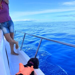 EmotionPlanet-voyages-Europe-Espagne-laGomera-bateau-voyageuse