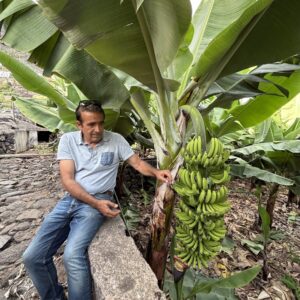 EmotionPlanet-voyages-laGomera-bananier-voyageur